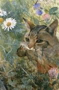 unknow artist Cats with fagelunge in mouth china oil painting artist